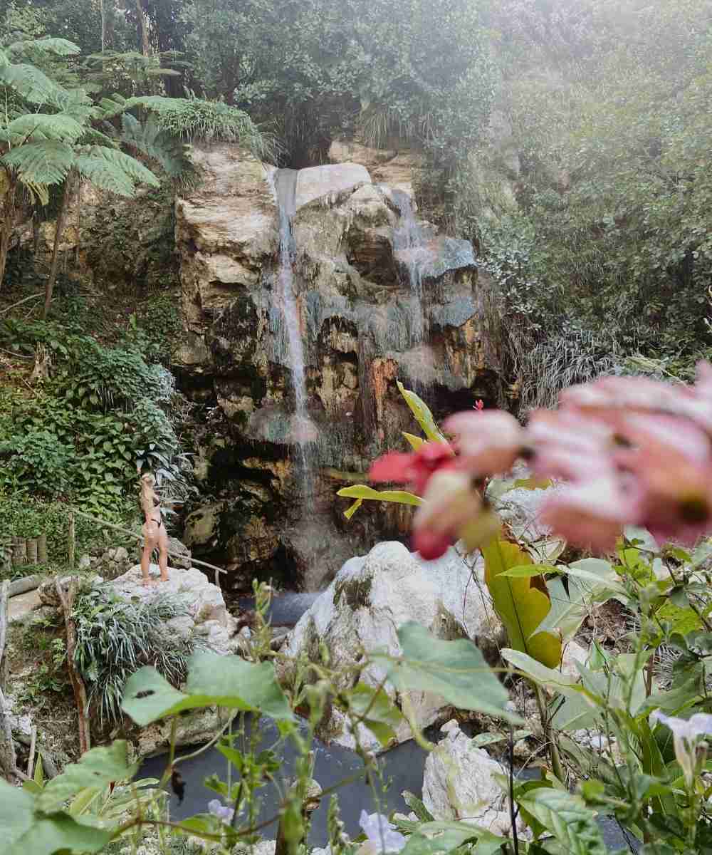 The fauna at Sapphire Falls & Jungle Spa a beautiful waterfall in Saint Lucia