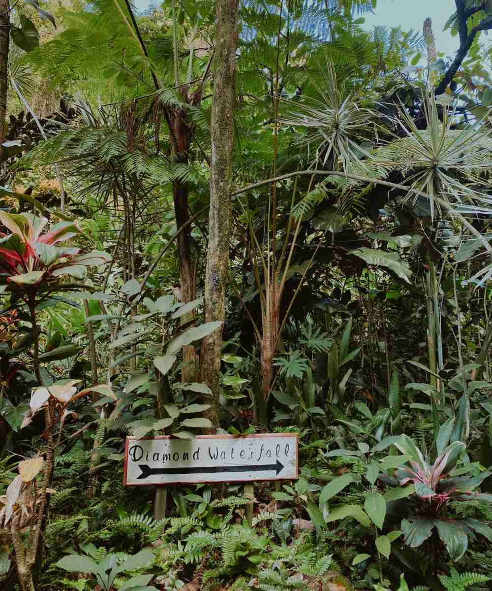 Diamond Falls & Botanical Gardens in St Lucia