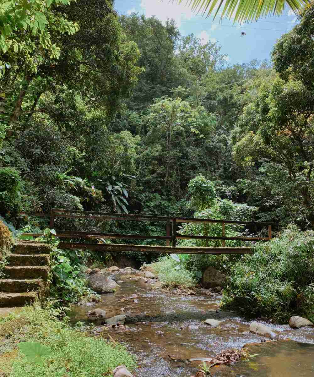 The bridge crossing at New Jerusalem Mineral Baths in St Lucia