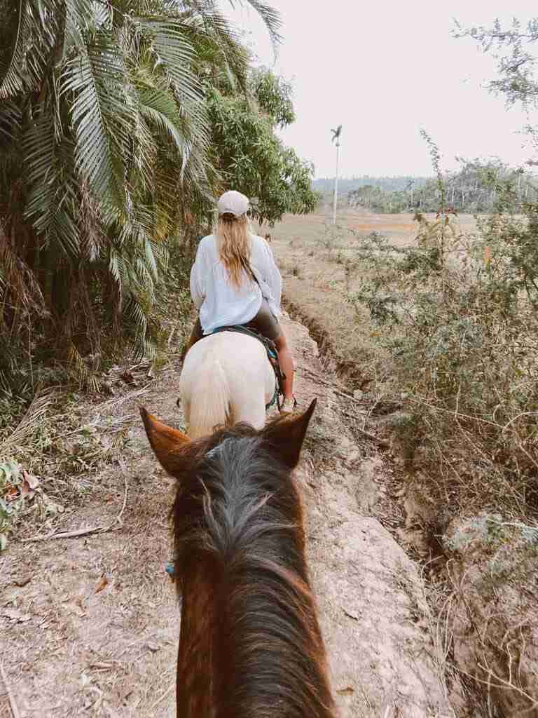 horse transportation in cuba