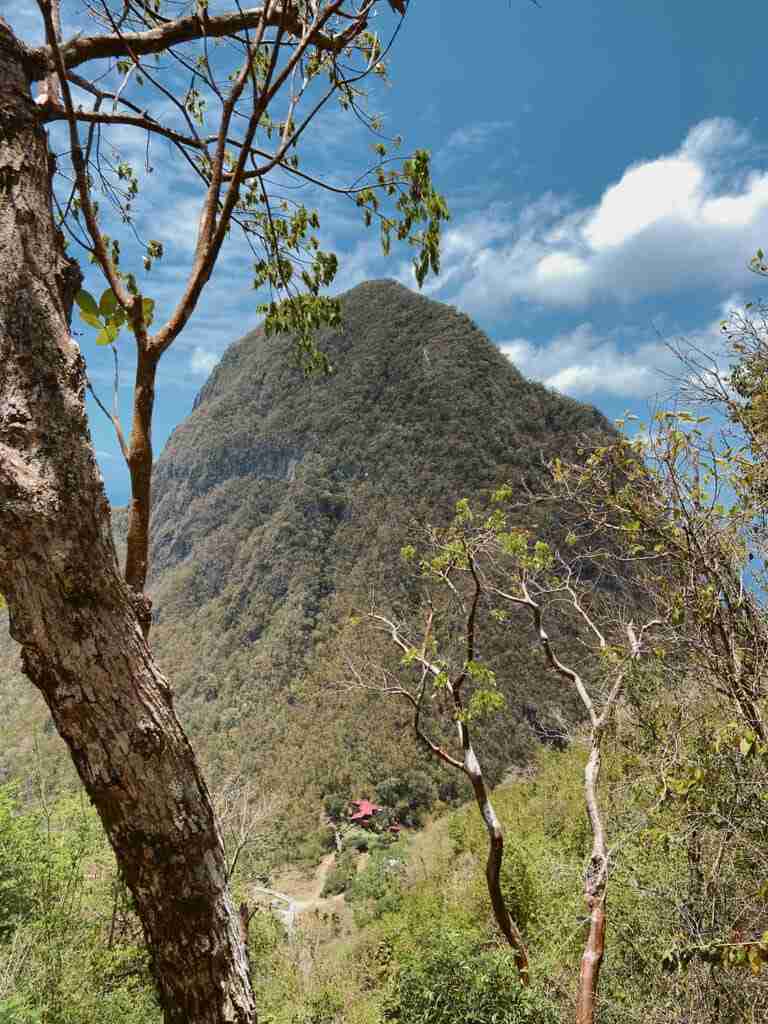 the view of the pitons from the impressive tet paul nature trail