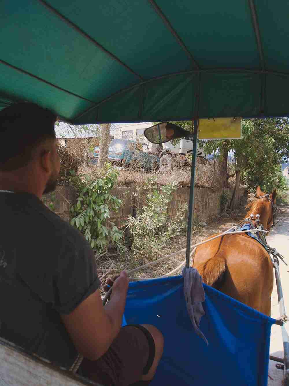 horseback transportation travel to cuba