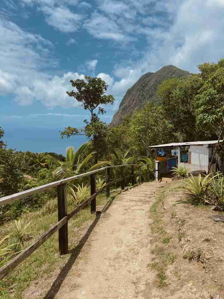tet paul nature trail one of the best things to do in soufriere st lucia
