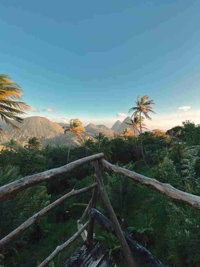 the view from the treehouse restaurant an amazing restaurant to visit in soufriere st lucia