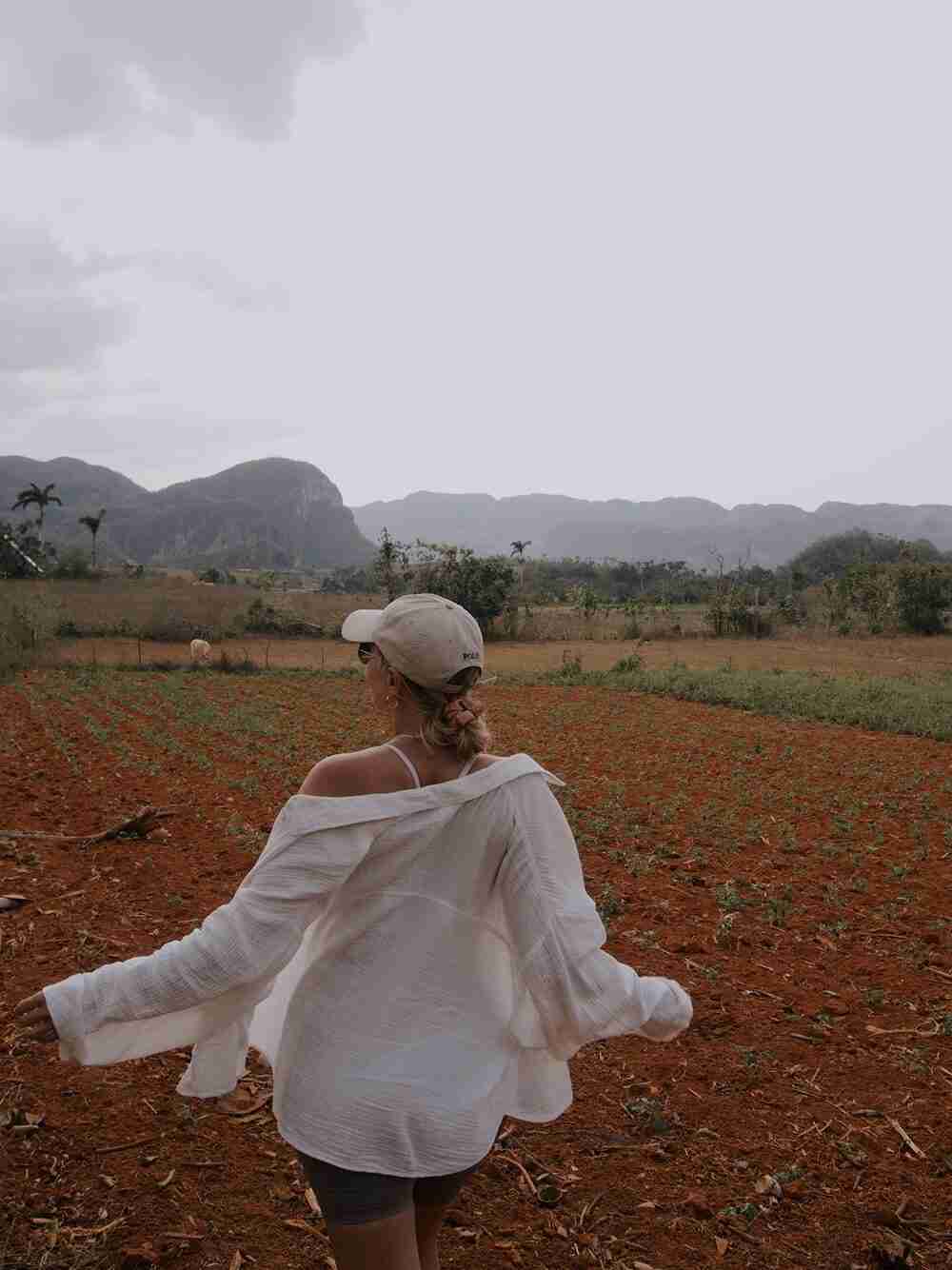 vinales mongotes wifi in cuba