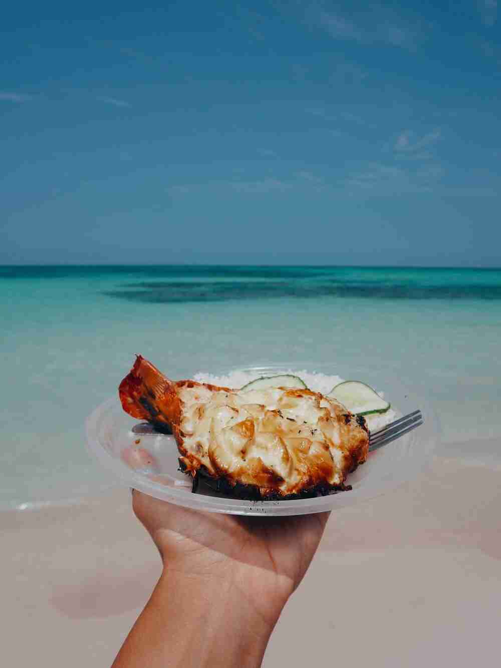 lobster on the beach in varadero best time to visit cuba