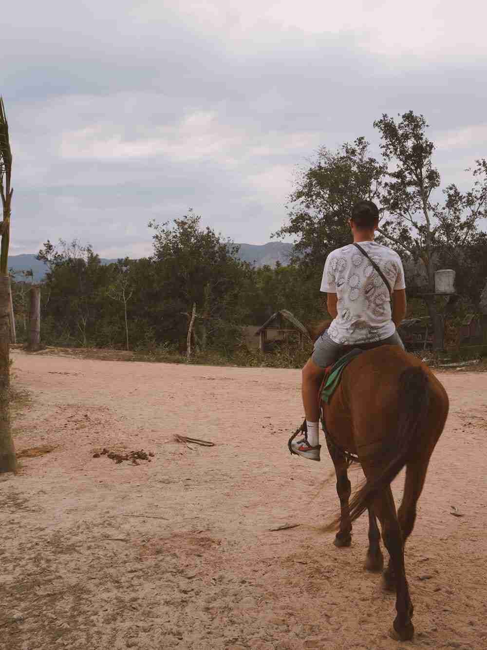horse transportation in cuba