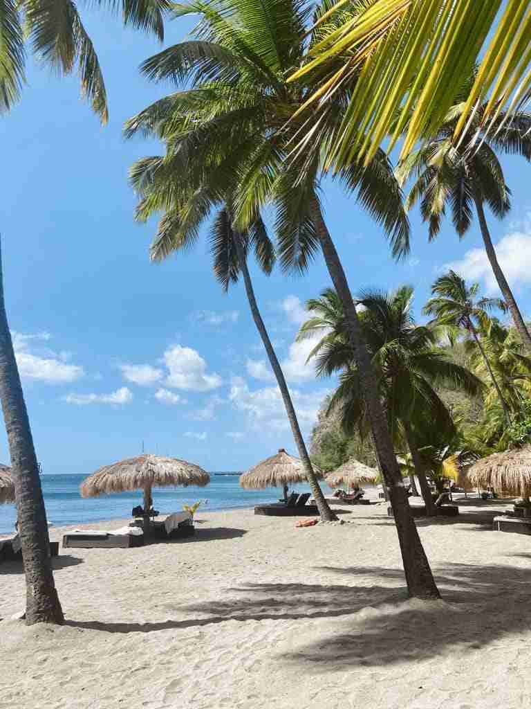 anse chastenet beach the best beaches in st lucia