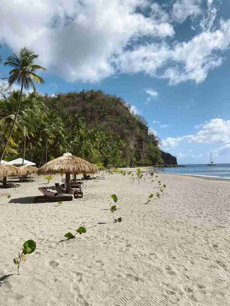 umbrellas and loungers at the hidden anse mamin beach one of the many amazing beaches in st lucia