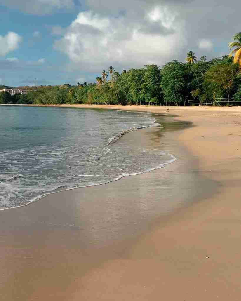 choc bay white sand and rainforest behind showcasing the beaches in st lucia to explore