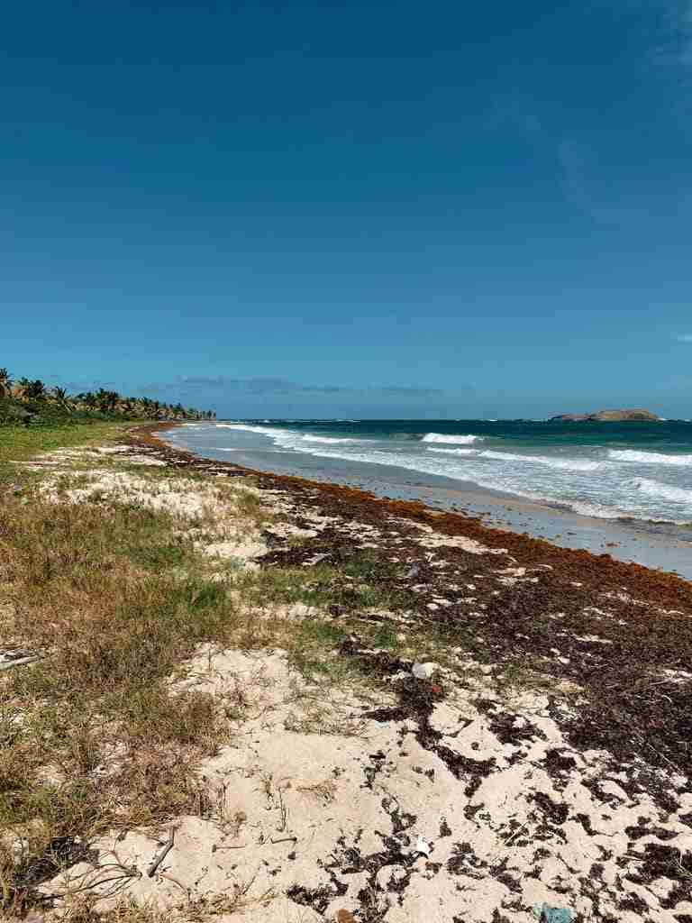 anse des sables the best beaches in st lucia