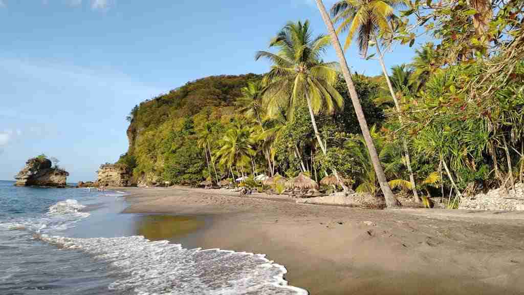 palm trees and dark sand anse mamin one of the best beaches in st lucia