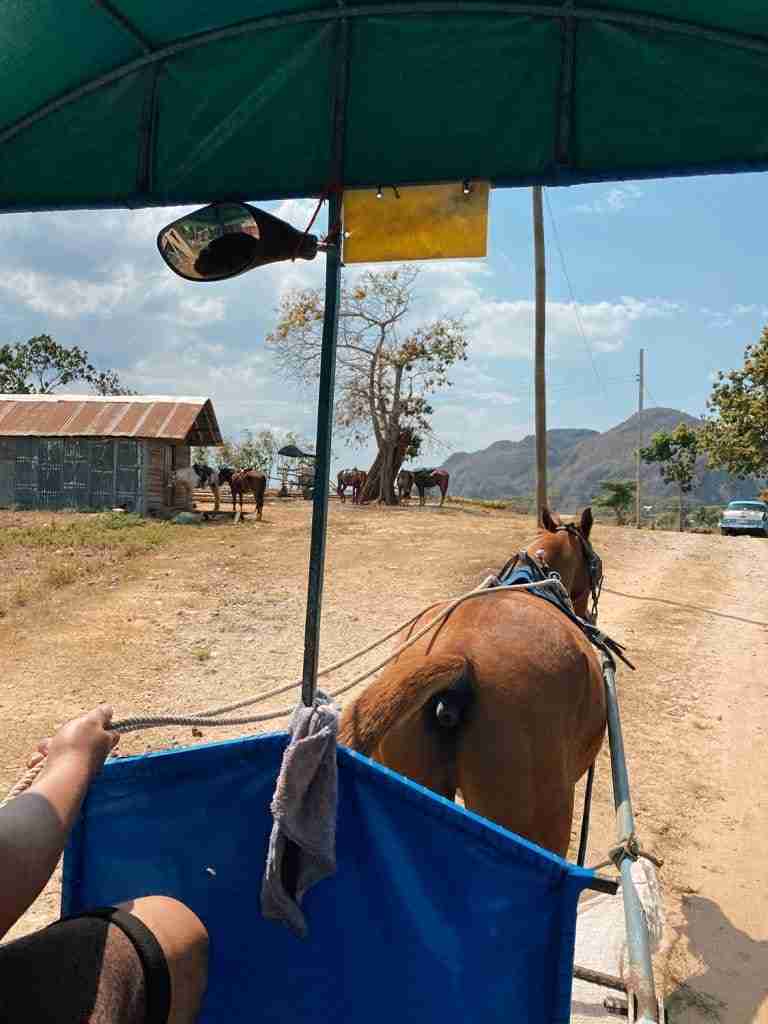 horseback taxi how to get around vinales cuba