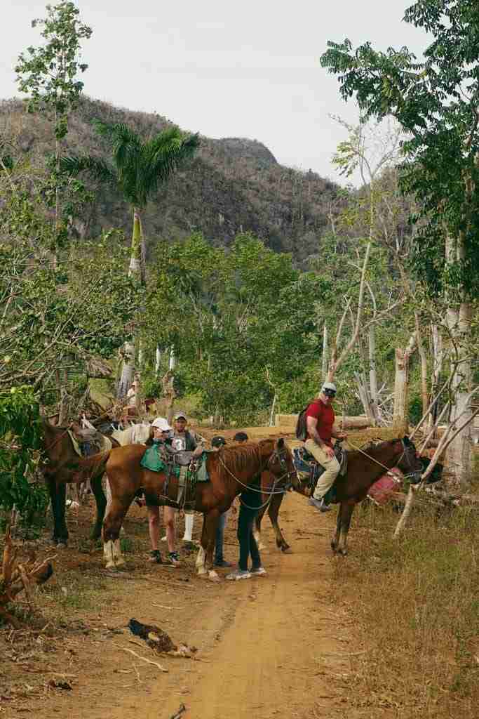 horseback riding tour things to do in vinales cuba