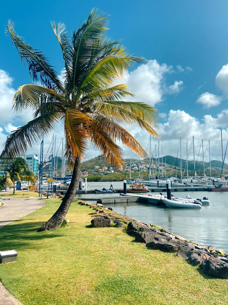 palm tree and boats at rodney bay marina a perfect scene highlighting where to stay in st lucia