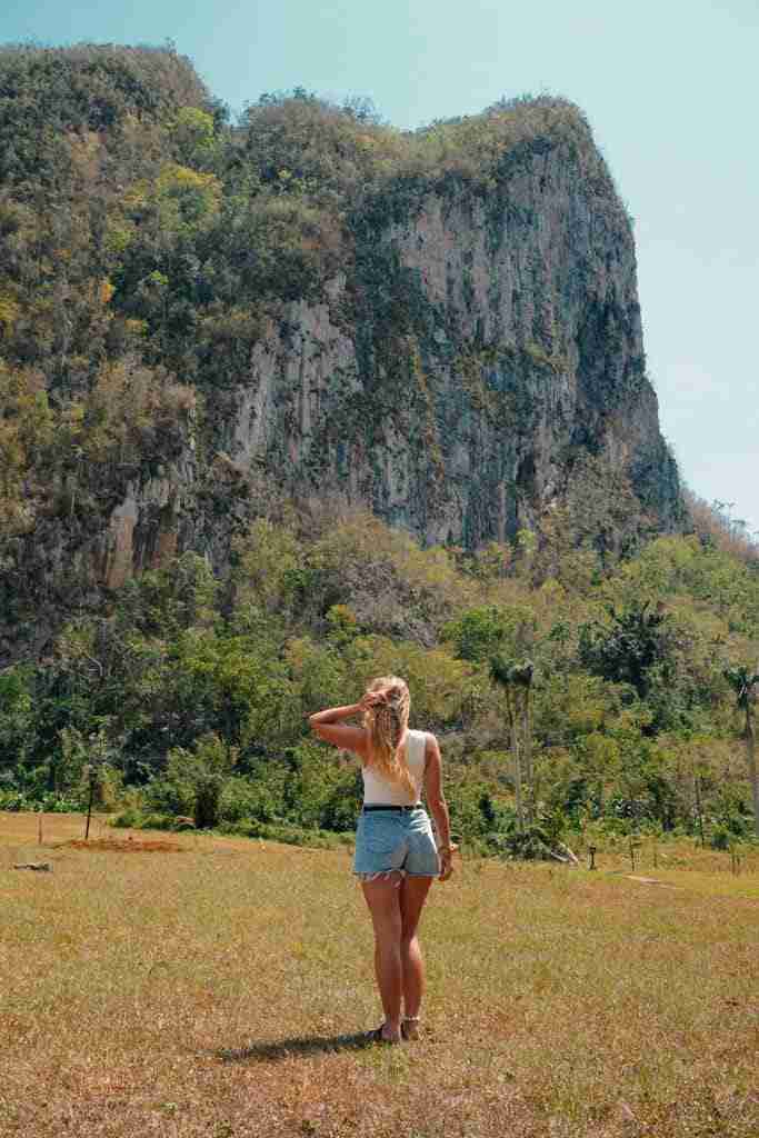 Mural de la Prehistoria vinales best things to do in vinales cuba