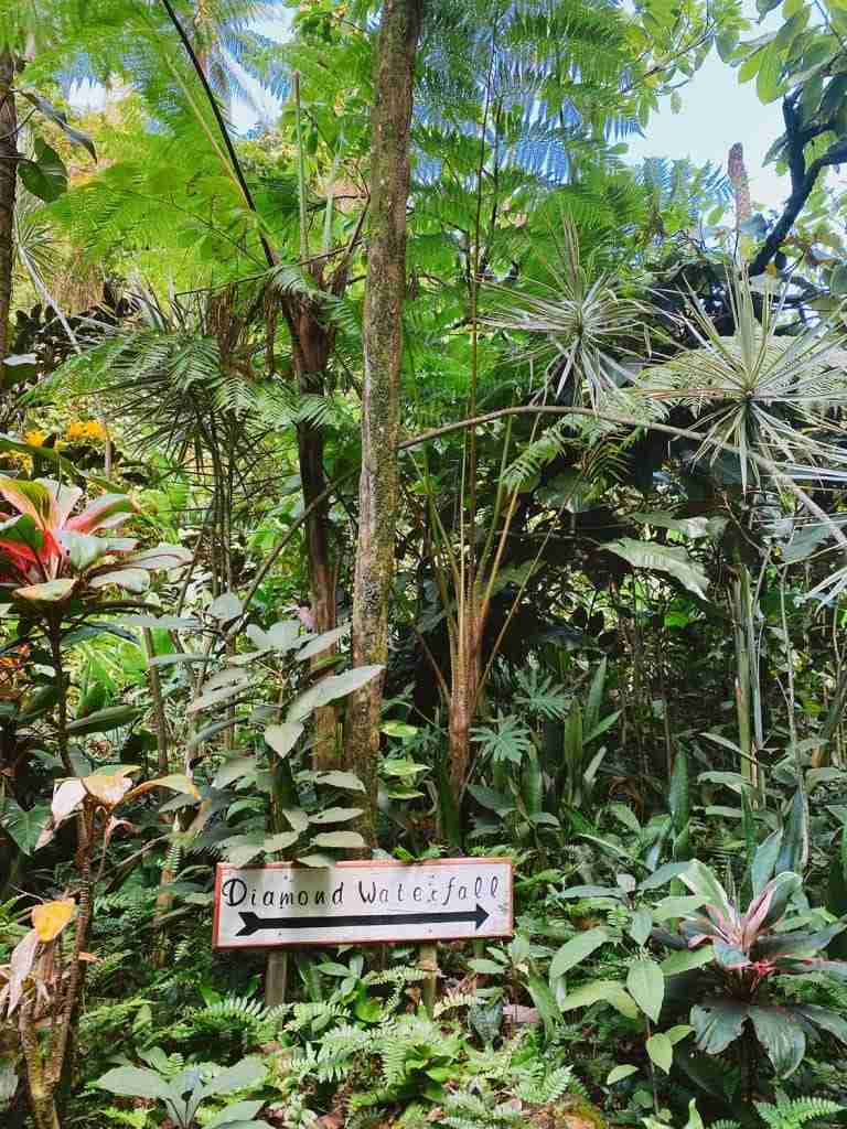 diamond falls best things to do in st lucia for couples