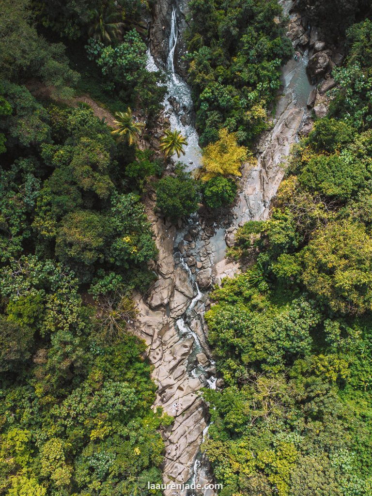 el yunque national forest best part of puerto rico to visit