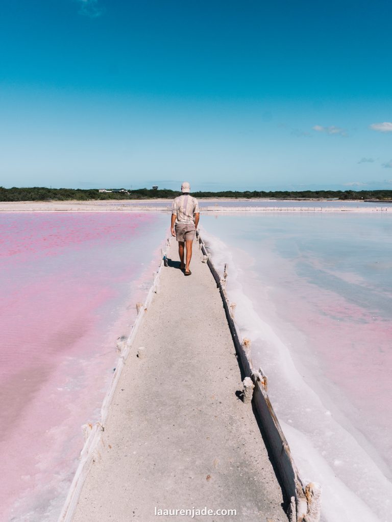 pink salt flats cabo rojo best area to stay in puerto rico