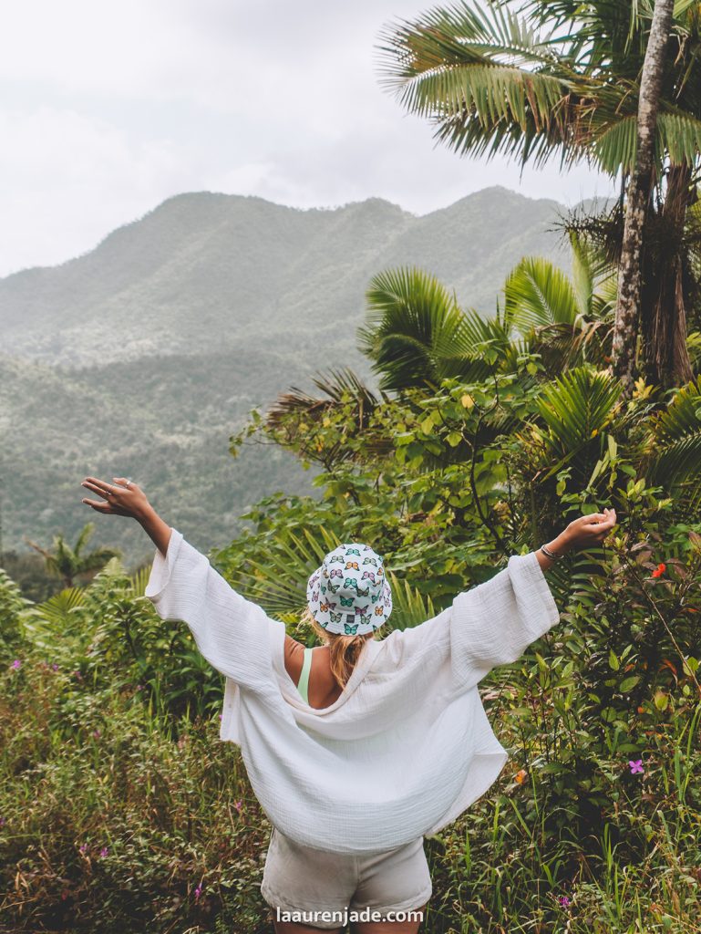 el yunque national forest best part of puerto rico to visit
