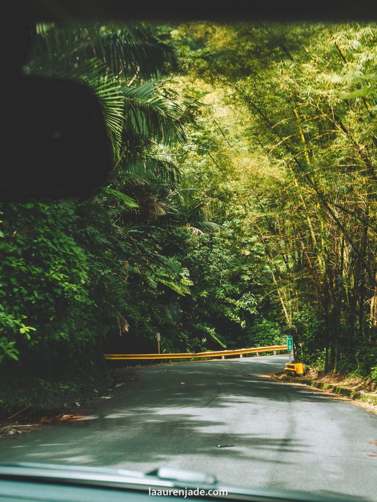 driving in el yunque best part of puerto rico to visit