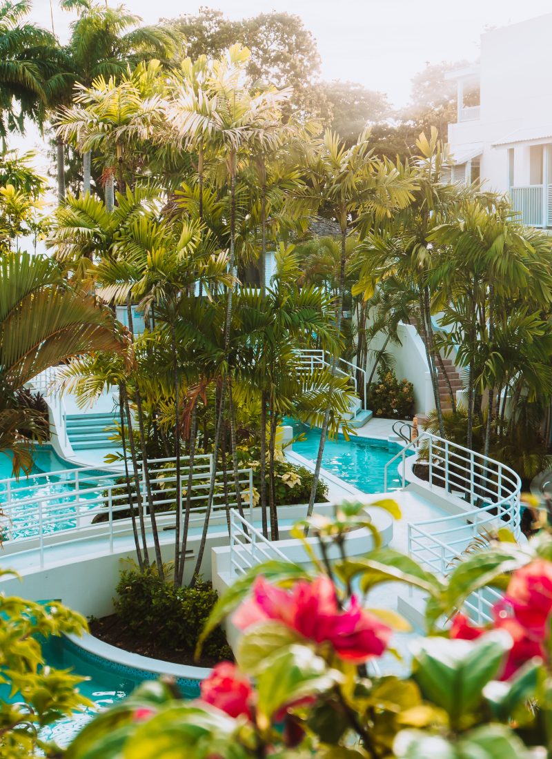 caribbean islands to visit in january