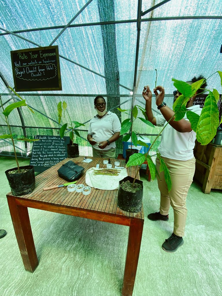 tour at project chocolat fun st lucia tour