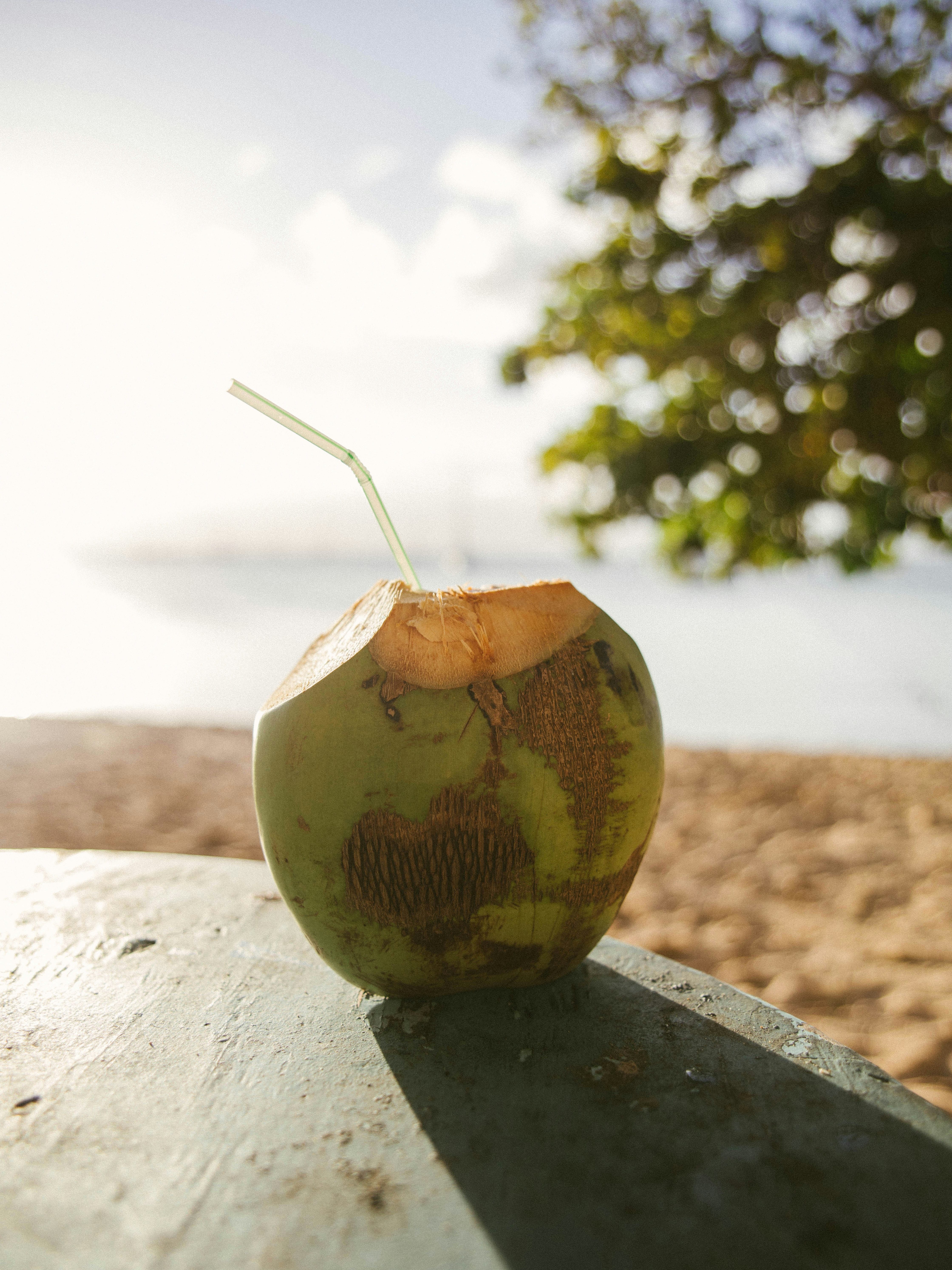 coconut on food tour and one of the best excursions in St Lucia